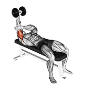 Dumbbell lying one arm pronated triceps extension demonstration