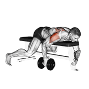 Dumbbell lying one arm rear lateral raise demonstration