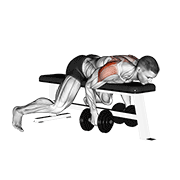 Dumbbell lying rear lateral raise demonstration