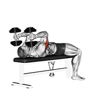 Dumbbell lying triceps extension demonstration