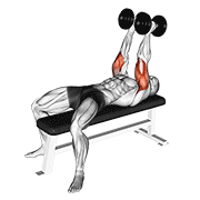 Dumbbell neutral grip bench press demonstration