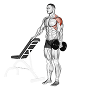 Dumbbell one arm lateral raise with support demonstration