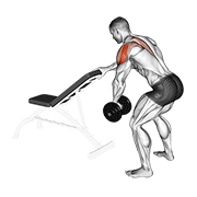Dumbbell one arm reverse fly (with support) demonstration