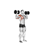 Dumbbell one arm shoulder press demonstration
