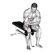 Dumbbell one arm wrist curl demonstration
