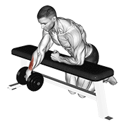 Dumbbell over bench one arm wrist curl demonstration