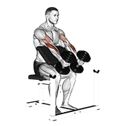Dumbbell peacher hammer curl demonstration