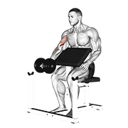 Dumbbell preacher curl demonstration