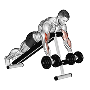 Dumbbell prone incline curl demonstration