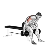 Dumbbell rear fly demonstration