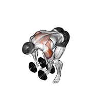 Dumbbell rear lateral raise demonstration