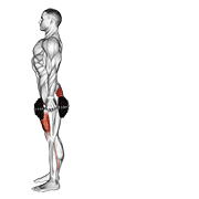 Dumbbell rear lunge demonstration