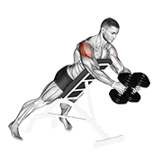 Dumbbell reverse fly demonstration