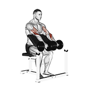 Dumbbell reverse preacher curl demonstration