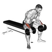 Dumbbell reverse wrist curl demonstration