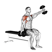 Dumbbell seated alternate front raise demonstration