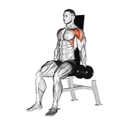 Dumbbell seated front raise demonstration