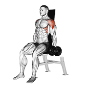 Dumbbell seated lateral raise v. 2 demonstration