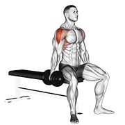 Dumbbell seated lateral raise demonstration