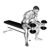 Dumbbell seated neutral wrist curl demonstration