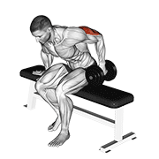 Dumbbell seated one arm kickback demonstration