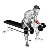 Dumbbell seated palms up wrist curl demonstration