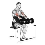 Dumbbell seated preacher curl demonstration