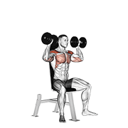 Dumbbell seated shoulder press demonstration