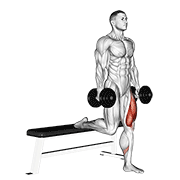 Dumbbell single leg split squat demonstration