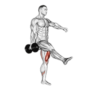 Dumbbell single leg squat demonstration
