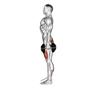 Dumbbell squat demonstration