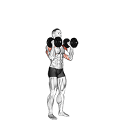 Dumbbell standing alternate overhead press demonstration