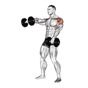 Dumbbell standing alternate raise demonstration