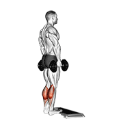 Dumbbell standing calf raise demonstration