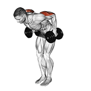 Dumbbell standing kickback demonstration