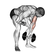 Dumbbell standing one arm concentration curl demonstration