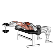 Dumbbell straight arm pullover demonstration