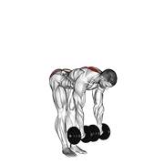 Dumbbell straight leg deadlift demonstration