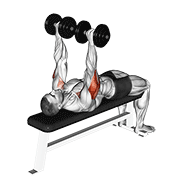 Dumbbell tate press demonstration