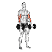 Dumbbell zottman curl demonstration