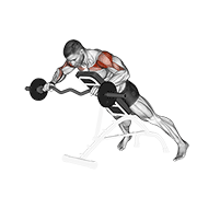 Ez barbell anti gravity press demonstration