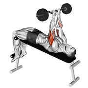 Ez barbell decline close grip face press demonstration