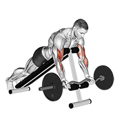 Ez barbell spider curl demonstration