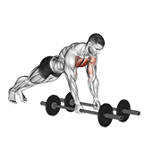 Floor fly (with barbell) demonstration