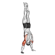 Handstand push-up demonstration