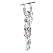 Hanging leg raise demonstration