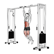 Hanging straight leg hip raise demonstration