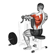 Lever alternating narrow grip seated row demonstration