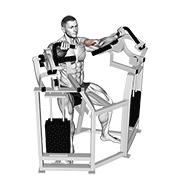 Lever bicep curl demonstration