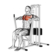 Lever chest press demonstration
